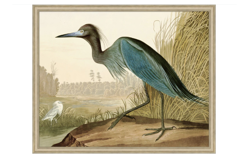 Marshland Kinship