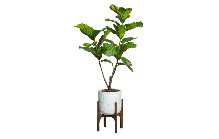 Dining Room Selections 2