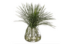 Verde Yucca Grass in Glass Vase