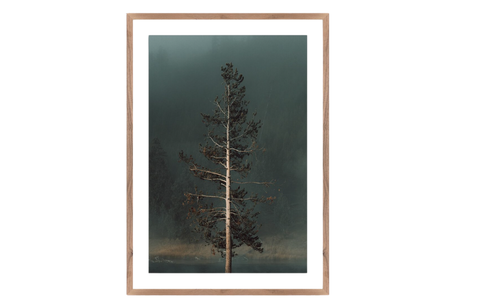 Shadow Winds - Image 1