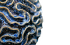 Solenne Table Lamp - Thumbnail 2