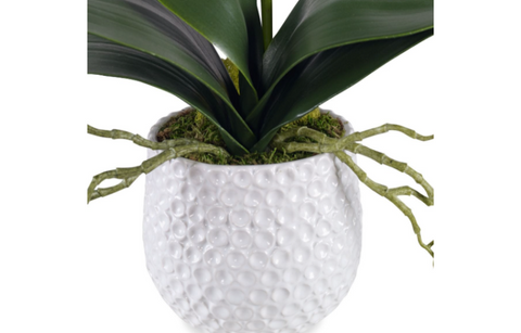 Camille Orchid Bloom - Image 2