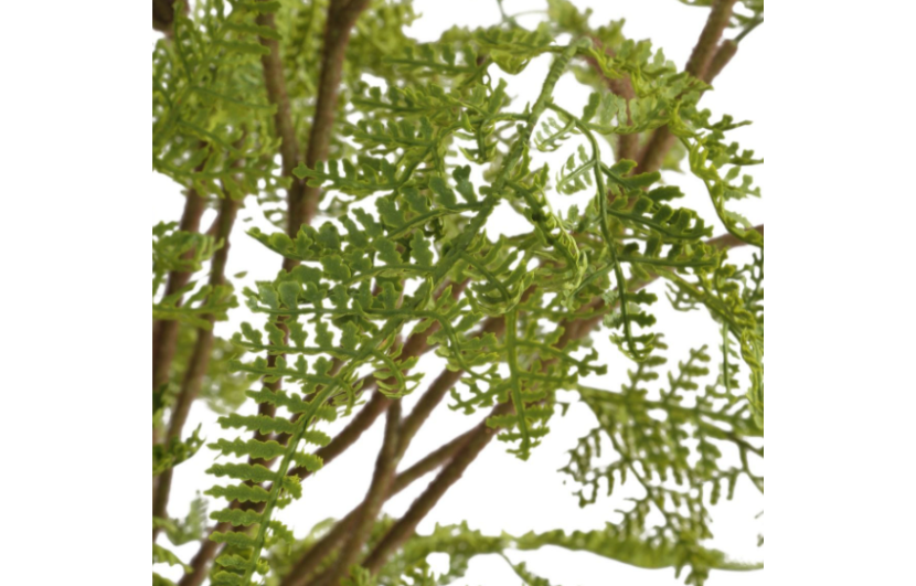 Forest Fern Centerpiece