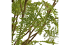 Forest Fern Centerpiece - Thumbnail 3
