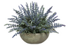Lavender In Small Brown Bowl - Thumbnail 1