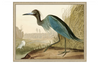 Marshland Kinship - Thumbnail 1