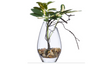 Mini Schefflera Stem in Glass - Thumbnail 1