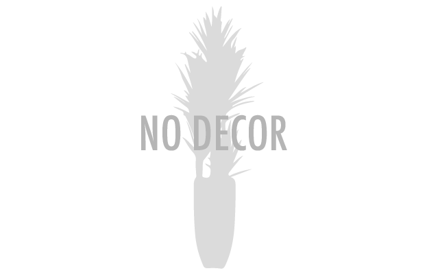 No Decor